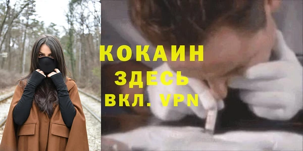 дурь Медвежьегорск