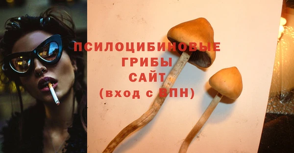 стафф Мегион