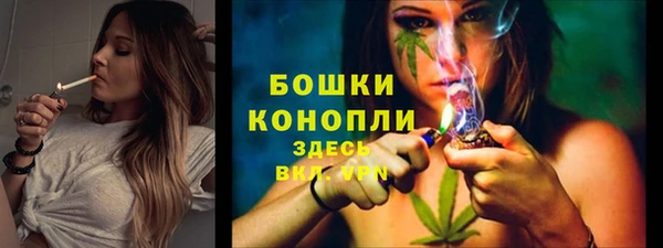дурь Медвежьегорск