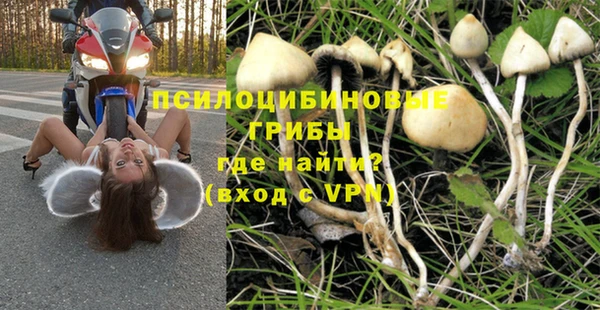 дурь Медвежьегорск