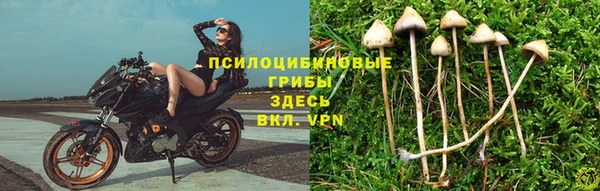 стафф Мегион
