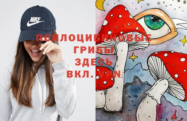бутират Медногорск
