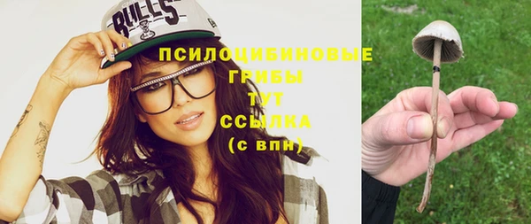 стафф Мегион