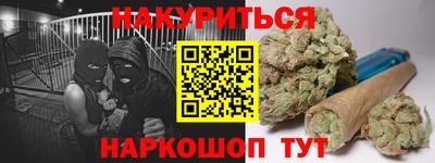 гашик Славгород