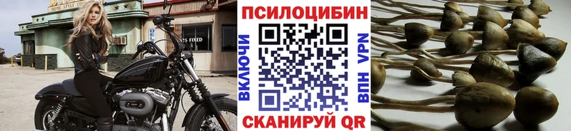 kraken маркетплейс  наркота  Таганрог  Галлюциногенные грибы GOLDEN TEACHER 