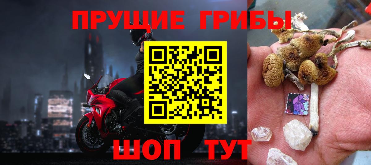 закладки  Вход с VPN  Таганрог  Псилоцибиновые грибы мухоморы 